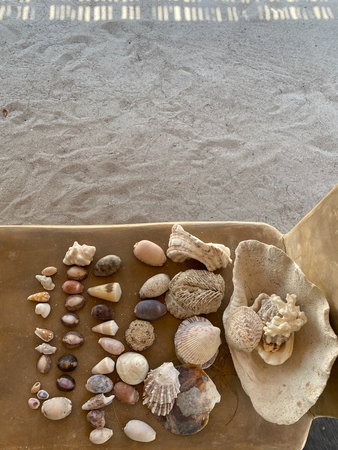 HOW TO: Prep for New Season Success with MAURIE AND EVE Founder/Designer, Kelly Davies-Green.